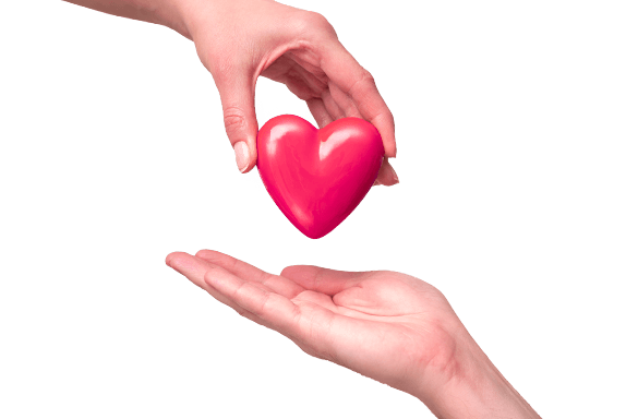 Support “YASHAT” Foundation